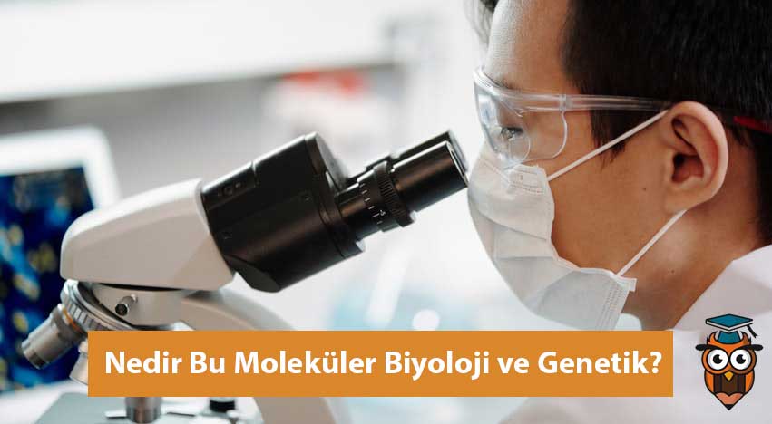 Moleküler Biyoloji ve Genetik Nedir?