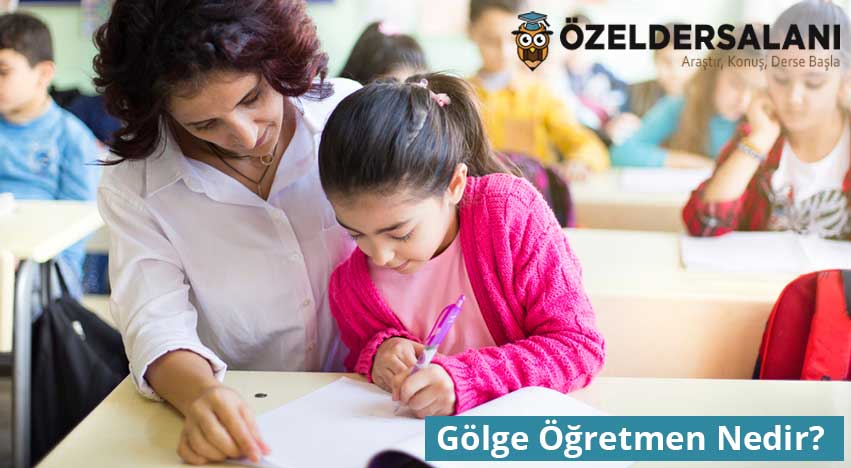 Gölge Öğretmen Nedir?