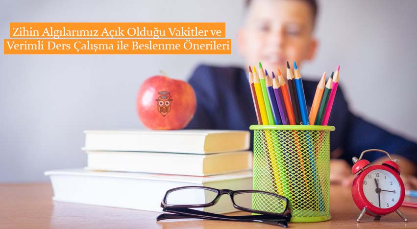 Zihin Algılarımız Açık Olduğu Vakitler ve Verimli Ders Çalışma ile Beslenme Önerileri