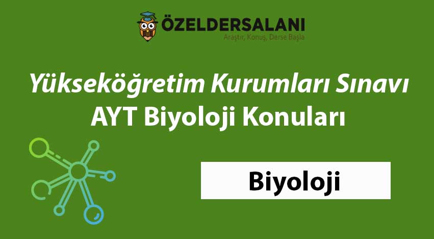 2024 AYT Biyoloji Konuları ve Soru Dağılımları