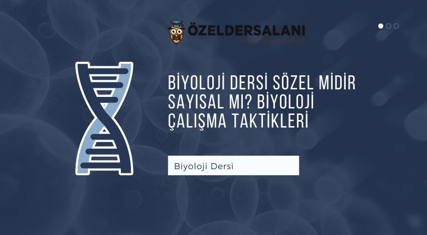 Biyoloji Dersi Sözel Midir Sayısal Mı? Biyoloji Çalışma Taktikleri