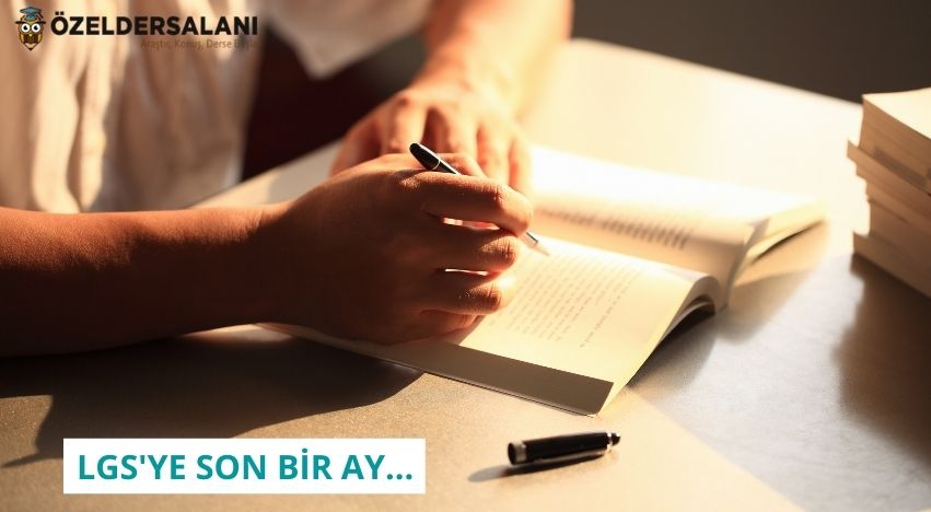 LGS'YE SON BİR AY...